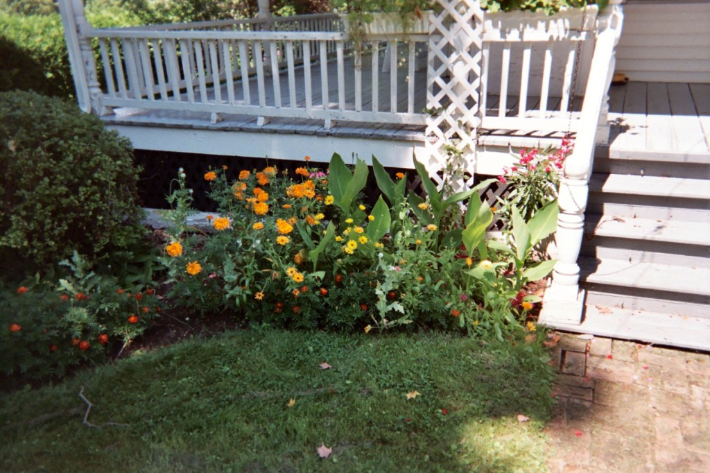 The High Stakes of&nbsp;Summer