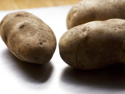 Plain Russets, Sans&nbsp;Chichis