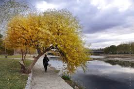 A Bedpan for&nbsp;Icarus?