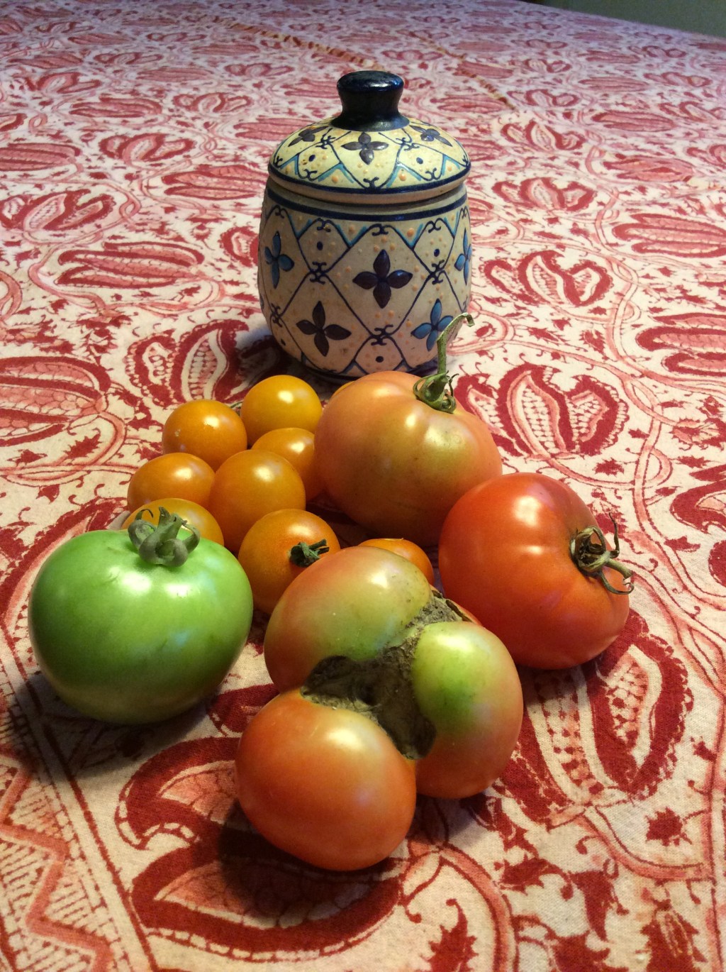 A Dictionary of Tomatoes…an immigrant&nbsp;experience