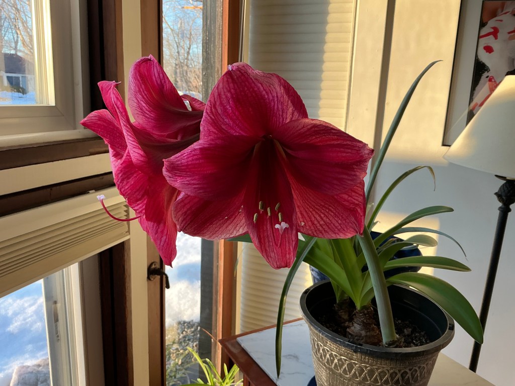 This is a story about love….sort of